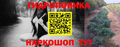 СК Бердск