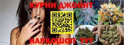 сатива Белореченск