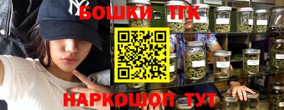 СК Бердск